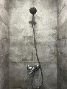 a shower with a shower head in a bathroom at Brick Apart Melnyka10 in Ivano-Frankivsʼk