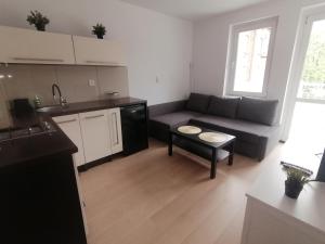 een kleine woonkamer met een bank en een keuken bij Alicja apartament in Siemianowice Śląskie