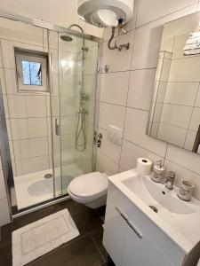 a bathroom with a shower and a toilet and a sink at Apartment JURIĆ in Lovran