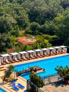 a large swimming pool with chairs and umbrellas at Apart Hotel Blumarin in Agios Gordios