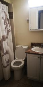 La salle de bains est pourvue de toilettes et d'un lavabo. dans l'établissement Penthouse on the Lake, à Burlington