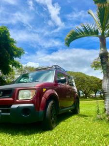 a red suv parked next to a palm tree at Go Camp Maui in Ah Fong Village