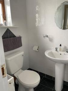 a white bathroom with a toilet and a sink at Shannon Breeze lodge in Kilrush