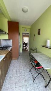 eine Küche mit grünen Wänden und einem Tisch mit Stühlen in der Unterkunft Logement au coeur de Marseille in Marseille