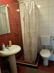 a bathroom with a sink and a toilet and a shower curtain at Apartments Thea in Mostar