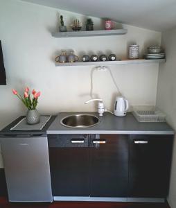 A kitchen or kitchenette at Apartments Thea