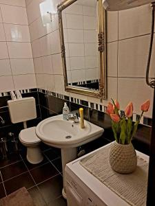 Ένα μπάνιο στο Apartments Thea