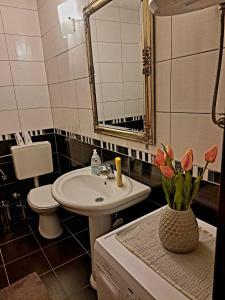 a bathroom with a sink and a toilet and a vase with flowers at Apartments Thea in Mostar