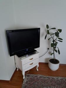 A television and/or entertainment centre at Apartments Thea