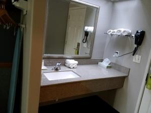 a bathroom with a sink and a mirror at Platte Valley Inn in Columbus