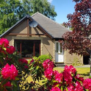 una casa con flores rosas delante de ella en Aviemore Bungalow, Dalfaber en Aviemore