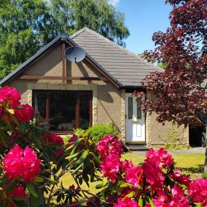 a house with pink flowers in front of it at Aviemore Bungalow, Dalfaber in Aviemore