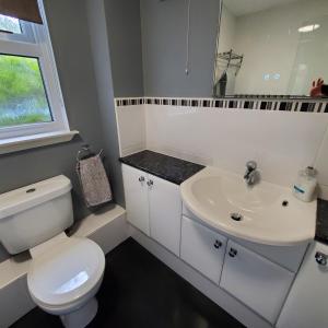 阿維莫爾的住宿－Aviemore Bungalow, Dalfaber，浴室配有白色卫生间和盥洗盆。