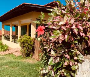 a house with a bush with pink flowers at Pousada Luna in Fernando de Noronha