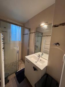 een badkamer met een wastafel en een douche bij Charmante Mancelle 24h hyper centre in Le Mans