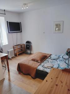 a bedroom with a bed and a flat screen tv at sudety hut 3 in Podgórzyn