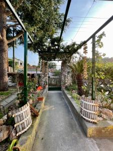 a garden with two chairs on a walkway at Dimora Storica Villa Pasquale Capri in Capri