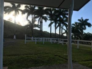 Galeriebild der Unterkunft Casa Felipe, lake view-cottage in Nuevo Arenal