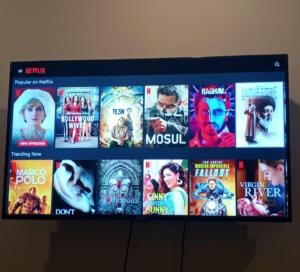 TV a/nebo společenská místnost v ubytování Spacious private ,Family 1BR Apt/Netflix/wifi/