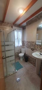 a bathroom with a shower and a toilet and a sink at ALOJAMIENTOS EL CASTRO in Taramundi