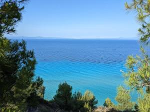 een uitzicht op de oceaan door de bomen bij Blue Dream Afytos in Afitos