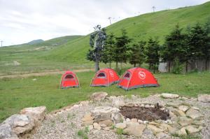 three tents in a field with a fire pit at Gaya Residences in Shahdag