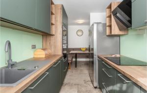 a kitchen with green cabinets and a counter top at Stunning Home In Muraj With Kitchen in Kornić