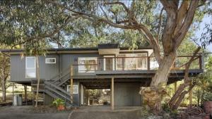 una casa con un grande albero di fronte di Whispering Gums - Ocean Views, Pet Friendly, EV UNIT 7kW for electric cars, Sleeps 7 a Lorne