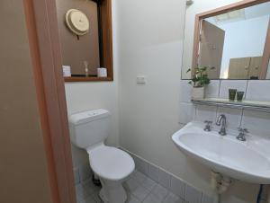 a bathroom with a toilet and a sink at Studio 19 Wright Lodge in Adelaide