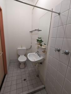 ein Bad mit einem WC und einem Waschbecken in der Unterkunft Studio 20 Wright Lodge in Adelaide