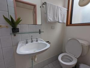 La salle de bains est pourvue d'un lavabo, de toilettes et d'un miroir. dans l'établissement Studio 24 Wright Lodge, à Adélaïde