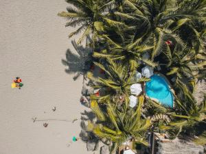 an overhead view of a beach with palm trees at Los Corales in Máncora
