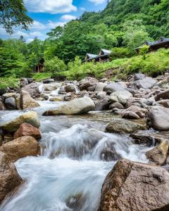 a river with rocks and houses in the background at Hacho no Yu in Nikko