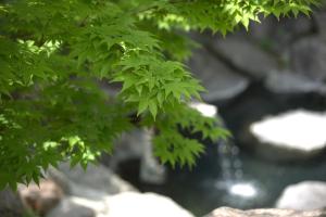 Náttúran í nágrenni ryokan-gistingarinnar
