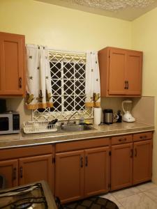 a kitchen with a sink and a window at Lion’s View Bed & Breakfast in Mandeville +12 photos