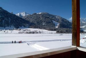 Gallery image of Ferienwohnungen Erath in Schoppernau