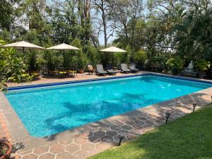 a blue swimming pool with chairs and umbrellas at Casa Gabriela para gozar con los tuyos-piscina con calefacción in Cuernavaca