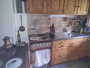 Kuchyň nebo kuchyňský kout v ubytování Ferienhaus in Graubünden + 11 fotografií