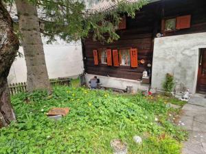 Zahrada ubytování Ferienhaus in Graubünden