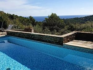 una piscina con vista sull'oceano di Villa Bormes-les-Mimosas, 3 pièces, 5 personnes - FR-1-610-89 a Bormes-les-Mimosas