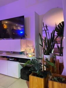 sala de estar con TV y algunas plantas en Apartamento Alberdi con amplio balcón en Villa María