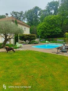 un cane che cammina sull'erba vicino alla piscina di Paradis Oriental a Chaulgnes