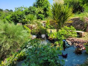 un jardín con un estanque con plantas y un banco en Gite de Beg Menez Le 14 - Gite à la Forêt Fouesnant, en La Forêt-Fouesnant