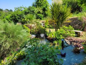 a garden with a pond with plants and a bench at Gite de Beg Menez Le 14 - Gite à la Forêt Fouesnant in La Forêt-Fouesnant