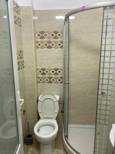 La petite salle de bains est pourvue d'une douche et de toilettes. dans l'établissement Monica Studio, à Onești