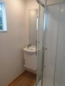 uma casa de banho com um lavatório e uma cabina de duche em vidro. em New, Cosy & Private 1-Bedroom & Living Flat em Porirua