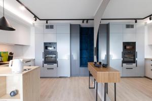 Kuchyň nebo kuchyňský kout v ubytování Apartament Orchidea by Major Domus Club