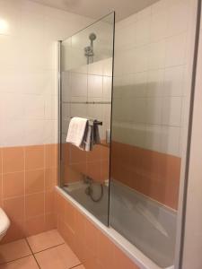 een douche met een glazen deur in de badkamer bij Abel Hôtel in Langeac