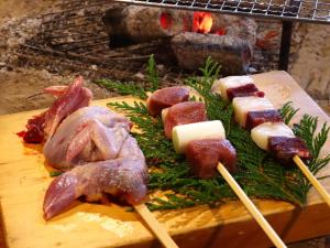 Agematsu泽口山林小屋的相册照片