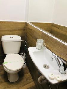 ein Bad mit einem WC und einem Waschbecken in der Unterkunft Central Petit Room in Braşov